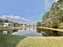 Scenic view of a tranquil pond reflecting the blue sky, surrounded by lush greenery and charming mobile homes at 122 Tamarisk Way, Leesburg, FL 34748