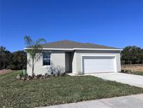 Charming single-story home features a well-maintained lawn and a two-car garage at 2932 Supermarine Rd, Tavares, FL 32778