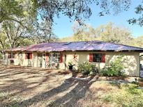 Charming single-story home with a red metal roof, red shutters, and a welcoming front yard surrounded by mature trees at 37807 Felkins Rd, Leesburg, FL 34788