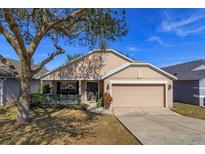 Charming single-story home with a well-maintained front yard and inviting curb appeal at 1123 Bluegrass Dr, Groveland, FL 34736