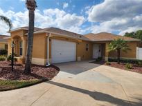 Charming single-Gathering home with a well-maintained lawn, palm trees, and a two-car garage at 2668 Alandari Ln, The Villages, FL 32162