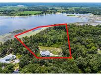 Stunning aerial view of a lakefront home with lush landscaping and private shoreline at 9905 Skylark Ln, Groveland, FL 34736