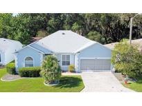 Charming single-story home with a well-manicured lawn and mature landscaping at 726 Grand Vista Trl, Leesburg, FL 34748