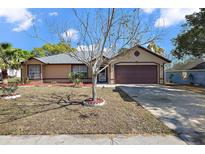 Charming single-story home with a well-maintained yard and inviting curb appeal at 909 Palm Forest Ln, Minneola, FL 34715