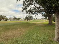 Scenic view of lush green golf course with mature trees and blue skies at 1532 W Schwartz Blvd, Lady Lake, FL 32159