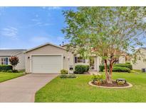 Charming home with a well-manicured lawn and a beautiful tree in the front yard at 1106 Blythe Way, The Villages, FL 32162