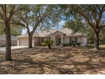 Inviting single-story home featuring a well-maintained lawn, mature trees, and a classic neutral color scheme at 2256 Lake Pointe Cir, Leesburg, FL 34748