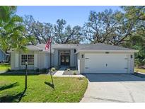 Charming single story home with a well manicured lawn and an attached two car garage at 4324 Leafway Cir, Leesburg, FL 34748