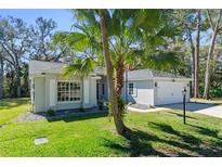 Charming home exterior featuring a well-manicured lawn, palm tree, and an attached two-car garage at 4324 Leafway Cir, Leesburg, FL 34748