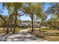 Stunning home on a large lot featuring a long driveway, mature trees, and a meticulously maintained lawn at 2600 Robie Ave, Mount Dora, FL 32757