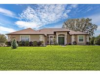 Charming single-story home featuring a lush green lawn, a decorative green front door and neutral color scheme at 10846 Point Nellie Dr, Clermont, FL 34711