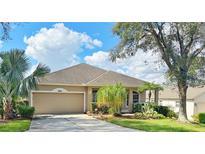 Charming single Gathering home featuring a two-car garage, manicured lawn, and lush landscaping at 3423 Capland Ave, Clermont, FL 34711