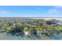 Breathtaking aerial view of lakefront property with lush trees and a private dock at 16011 Acorn Cir, Tavares, FL 32778