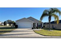 Charming single-story home with a well-manicured lawn, a two-car garage, and a beautiful palm tree in the front yard at 2046 Dalecroft Trl, The Villages, FL 32162