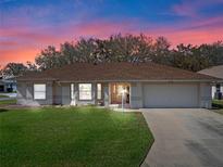 Charming home with a manicured lawn and a well-maintained exterior, featuring a lovely color-filled sky at 5533 Squires Dr, Leesburg, FL 34748