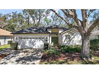 Charming single-story home featuring a well-manicured lawn, mature trees, and an attached two-car garage at 6035 Falconbridge Pl, Mount Dora, FL 32757