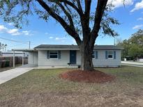 Charming single-story home with a large shade tree in the front yard and carport at 2803 Joleen Dr, Eustis, FL 32726