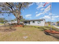 Charming single-story home with a well-maintained front yard and mature tree providing ample shade at 2803 Joleen Dr, Eustis, FL 32726