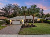 Charming home featuring a brick driveway, manicured lawn, and stately palm trees at sunset at 3400 Foxboro Ct, Mount Dora, FL 32757