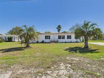 Charming single-story home featuring blue shutters and two large palm trees in the front yard at 13877 County Road 109F, Lady Lake, FL 32159