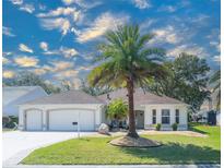 Charming home featuring a well-manicured lawn and beautiful palm tree at 1828 Augustine Dr, The Villages, FL 32159