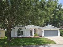 Charming single-story home featuring a two-car garage, well-manicured lawn, and inviting curb appeal at 3733 Plantation Blvd, Leesburg, FL 34748