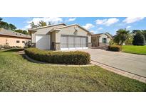 Charming single-story home featuring a well-maintained lawn and a two-car garage with stone accents at 509 Grand Vista Trl, Leesburg, FL 34748