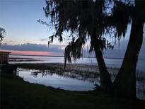 Scenic lake view at dusk, featuring calm water, trees with hanging moss, and a serene, natural landscape at 2225 Cypress Ct # 2C, Tavares, FL 32778