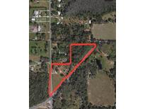 Aerial view of expansive lot with mature trees, offering privacy and natural beauty in a desirable location at 36126 Cr 439, Eustis, FL 32726