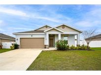 Charming single-Gathering home with a well-manicured lawn and a two-car garage, perfect for suburban living at 37031 Lake Overlook Dr, Grand Island, FL 32735