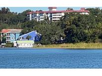 Charming waterfront condos with lush trees and views of the open water create a peaceful escape at 601 N Mcdonald St # 208, Mount Dora, FL 32757