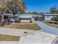 Charming single-story home with a well-maintained lawn and driveway, offering a cozy and inviting curb appeal at 103 Tamarisk Way, Leesburg, FL 34748