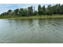 Scenic view of lake with lush green trees along the shoreline and a clear blue sky at 6001 Bird Island Dr, Lady Lake, FL 32159