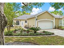Charming home with lush landscaping and a well-maintained lawn at 6152 Topsail Rd, Lady Lake, FL 32159