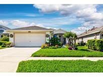 Charming single-story home boasts a well-manicured lawn and vibrant landscaping at 27121 Greenfly Orchid Ln, Leesburg, FL 34748
