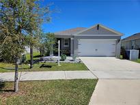 Charming one-story home featuring a well-manicured lawn and a two-car garage at 808 Brooklet Dr, Davenport, FL 33837