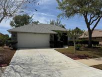 Charming single-story home featuring a well-manicured lawn and a two-car garage with decorative driveway at 8165 Bridgeport Bay Cir, Mount Dora, FL 32757