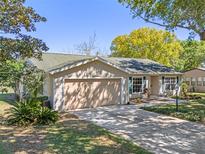 Charming single-story home with a two-car garage, lush landscaping, and a well-maintained lawn at 25642 Oak Aly, Leesburg, FL 34748