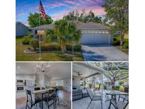 Charming single-story home featuring a well-manicured lawn, palm tree, and an American flag waving proudly at 3360 Richmond Dr, The Villages, FL 32162