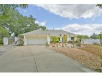 Charming single-story home with a well-manicured front yard and attached two-car garage at 202 N Palm Ave, Howey In The Hills, FL 34737