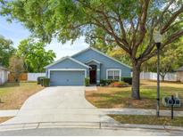 Charming single-story home with a well-maintained front yard and a long driveway leading to the garage at 25313 Ironwedge Dr, Mount Plymouth, FL 32776