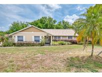 Charming single-story home with a well-manicured lawn and mature landscaping at 11763 Oswalt Rd, Clermont, FL 34711