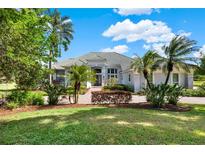 Beautifully landscaped front yard with lush green lawn and mature palm trees leading to the house at 13112 Luntz Point Ln, Windermere, FL 34786