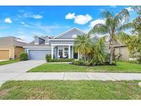 Charming single-story home featuring a well-manicured lawn, a two-car garage and beautiful tropical landscaping at 251 Blue Cypress Dr, Groveland, FL 34736