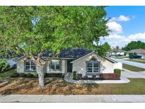 Charming single-story home with a well-manicured front yard and mature tree providing ample shade at 1313 Lake Idamere Blvd, Tavares, FL 32778