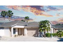 Charming single-story home with attached garage, manicured landscaping, and beautiful palm trees at 1954 Ladyfish Ave, The Villages, FL 32162