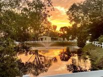 Scenic sunset view of a tranquil pond with a fountain, surrounded by lush trees and a white fence at 501 Santa Fe Rd, Tavares, FL 32778