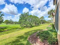 Expansive backyard view showcasing lush green space, mature trees, and meticulous landscaping at 602 Camino Real Blvd # 602, Howey In The Hills, FL 34737