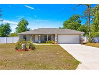 Charming single-story home featuring a well-maintained lawn, a two-car garage, and a welcoming front entrance at 12150 Se 88Th Ct, Belleview, FL 34420