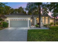 Charming single-story home with a well-manicured lawn, a gray two-car garage, and a lush palm tree in the front yard at 13190 Se 93Rd Cir, Summerfield, FL 34491